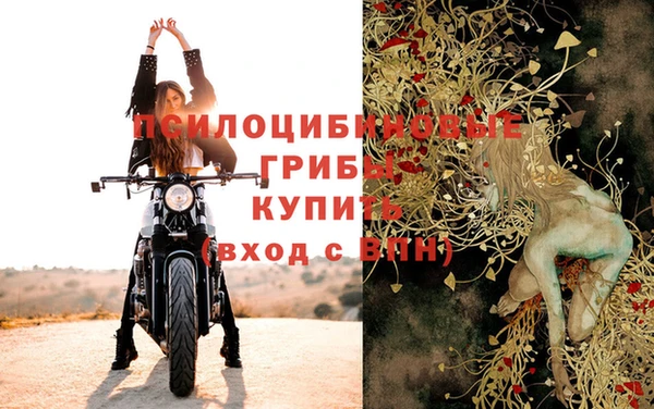 молекула духа Сосновка
